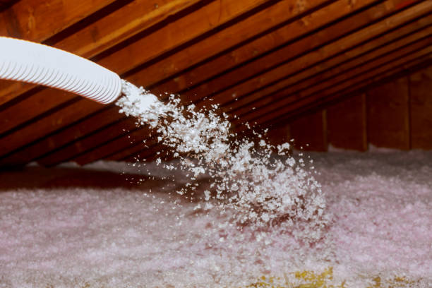Best Insulation Maintenance and Repair in Springville, UT