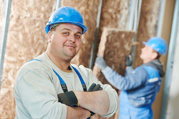 Best Insulation Installation Services in Springville, UT